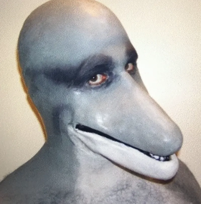 A classic funny dolphin meme