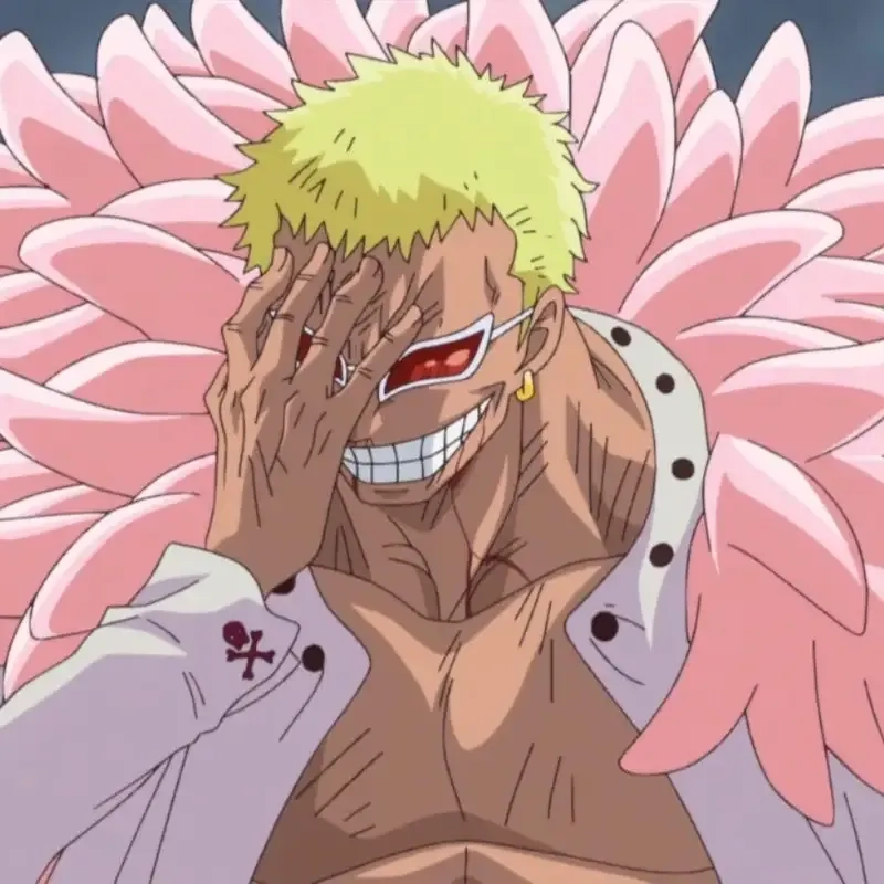 Meet the powerful fighters in doflamingo's crew