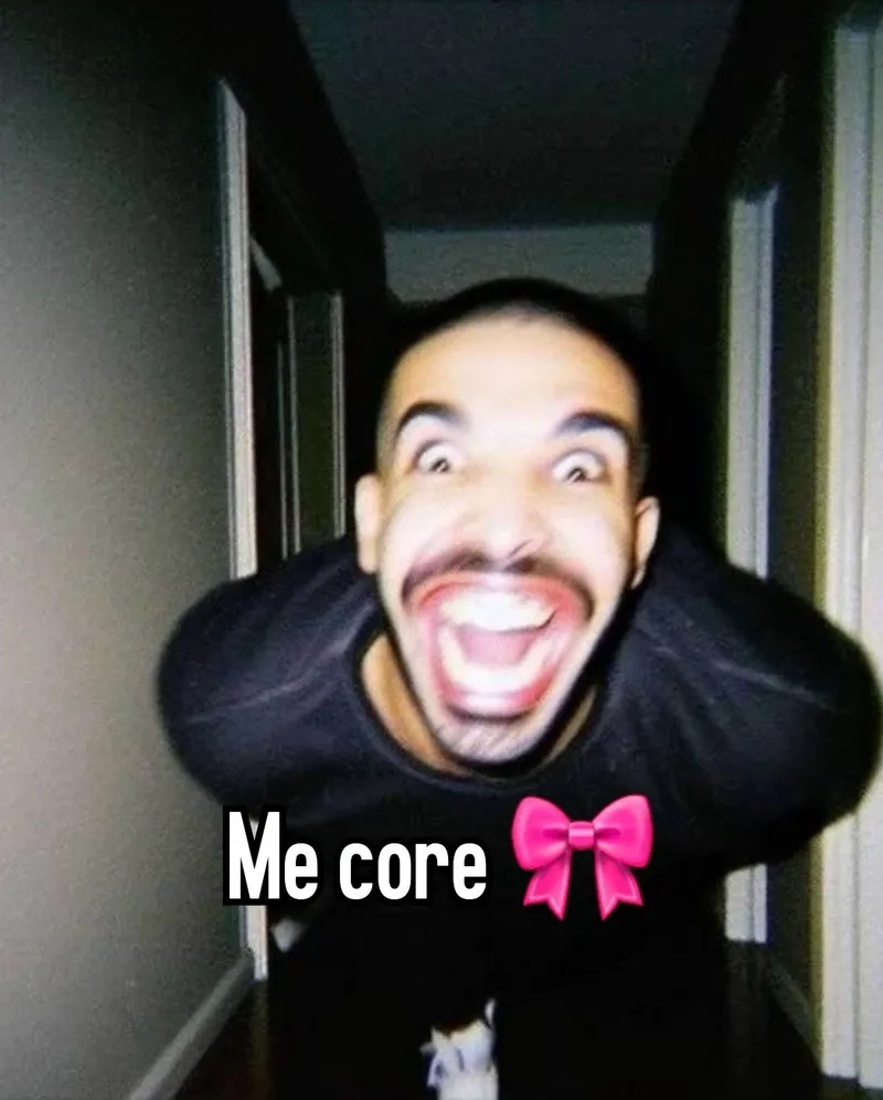 Using a drake meme maker online is simple and fast