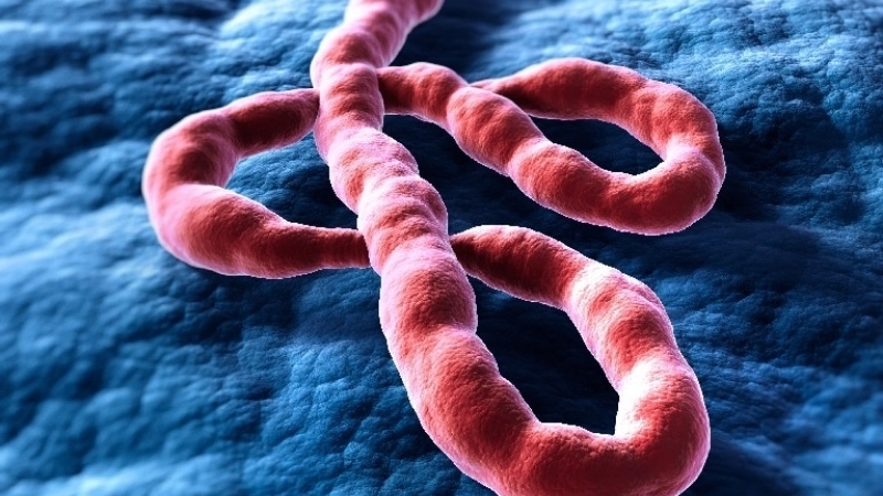 Patient receiving Ebola treatment and cure in a clinic