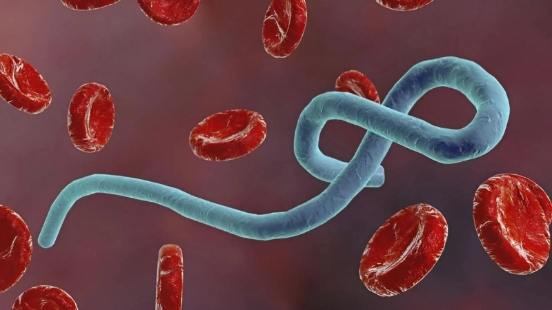 Health official providing an Ebola outbreak update