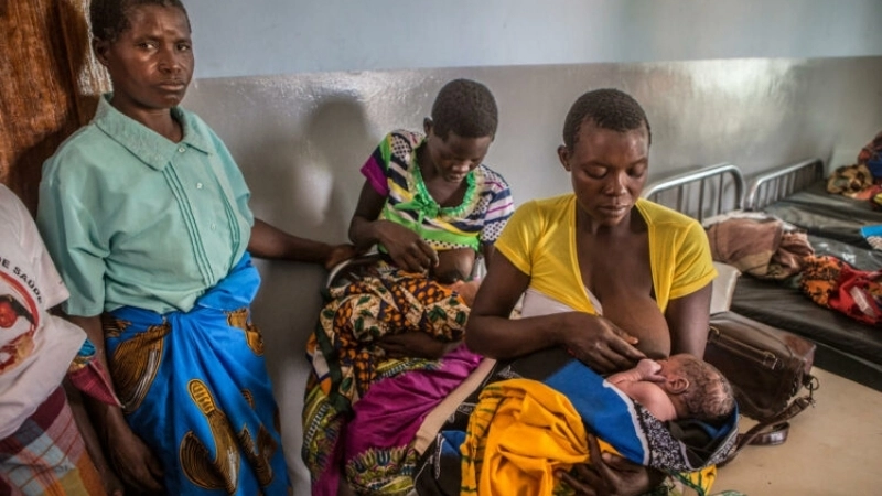 Ebola survival rate statistics revealed today