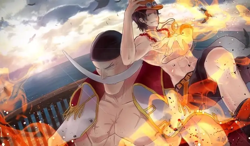 Discover Whitebeard pirates legendary journeys
