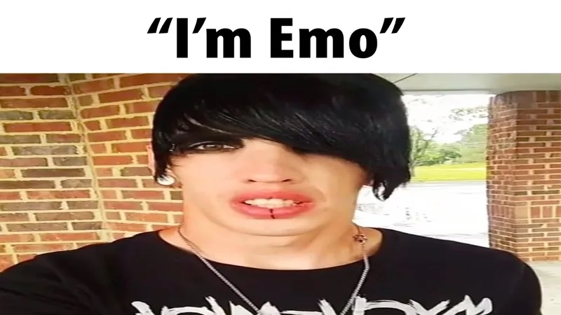 A truly relatable sad emo meme for today