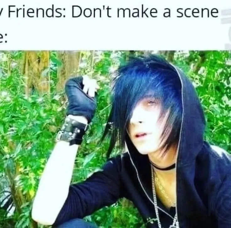 A collection of funny emo memes