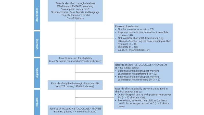 Acute necrotizing eosinophilic myocarditis severe life threatening form