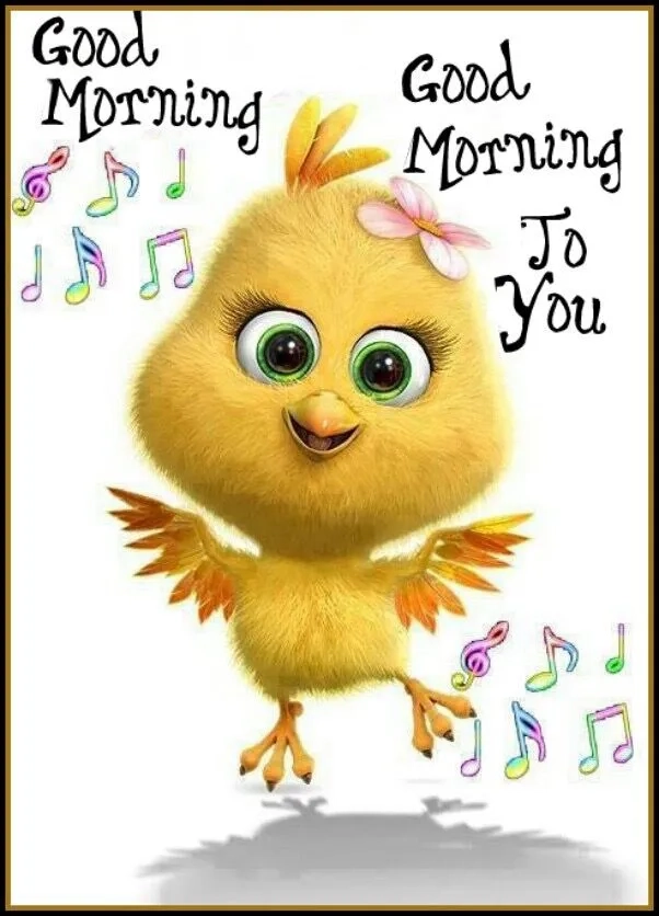 The perfect grumpy good morning cat meme