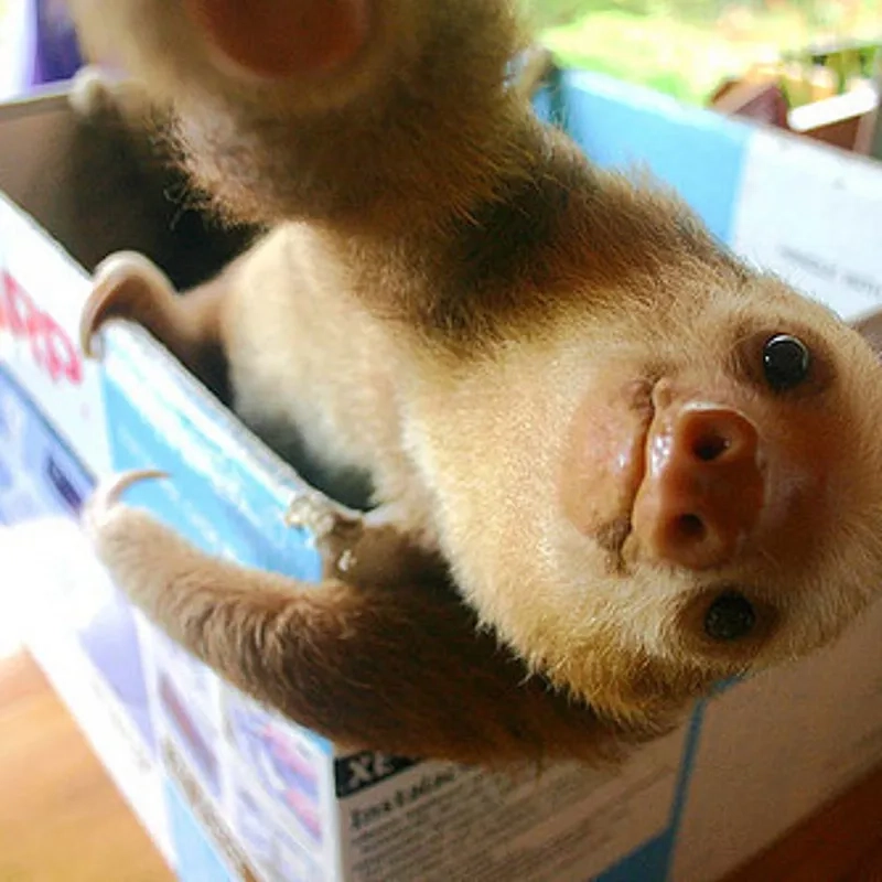 You are my sunshine good morning beautiful meme