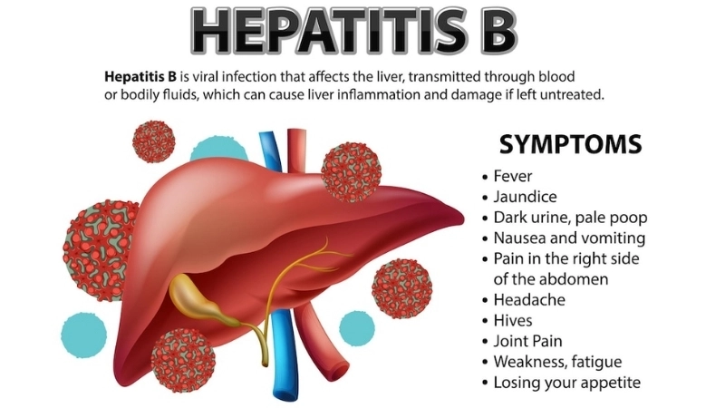 Hepatitis B with chronic hepatitis B care