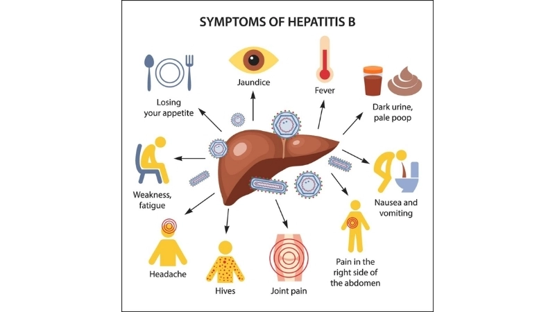 Hepatitis B transmission risk factors