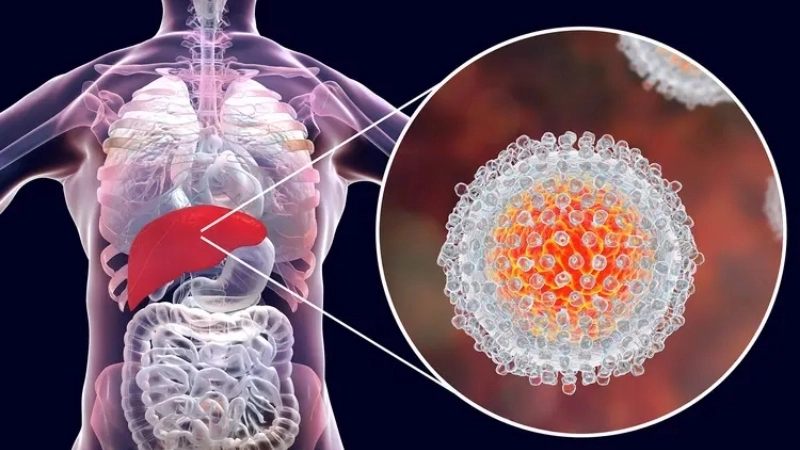 Hepatitis B diagnosis and testing info