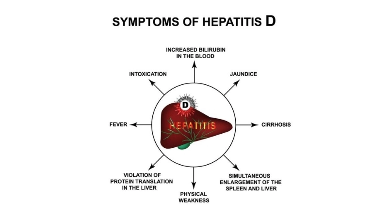 Hepatitis D prevention and Hepatitis D tips
