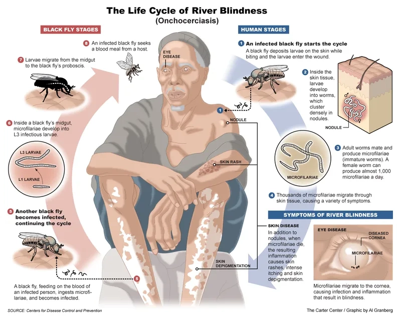 Understand Bocavirus transmission to stay safe