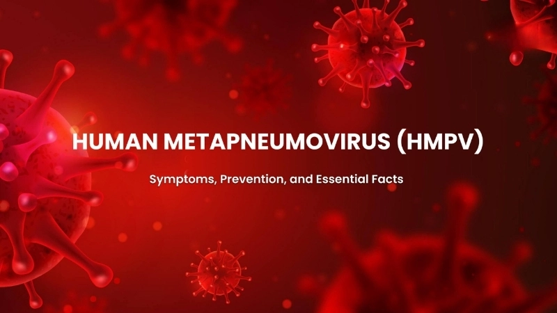 Learn how metapneumovirus spreads quickly