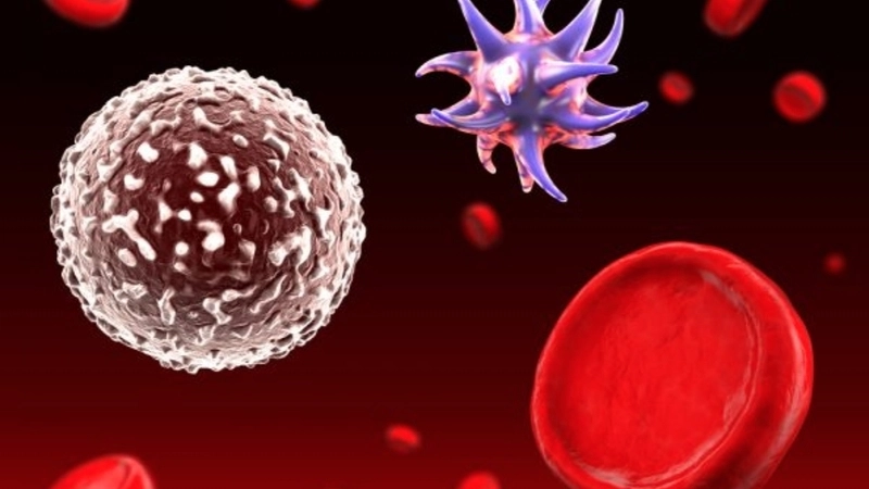 Human T-lymphotropic Virus infection transmission