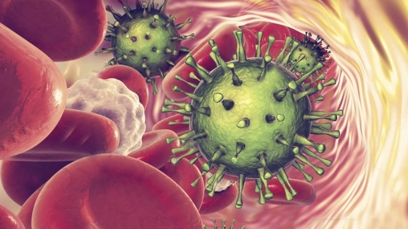 Human T-lymphotropic Virus infection HTLV-1 myelopathy