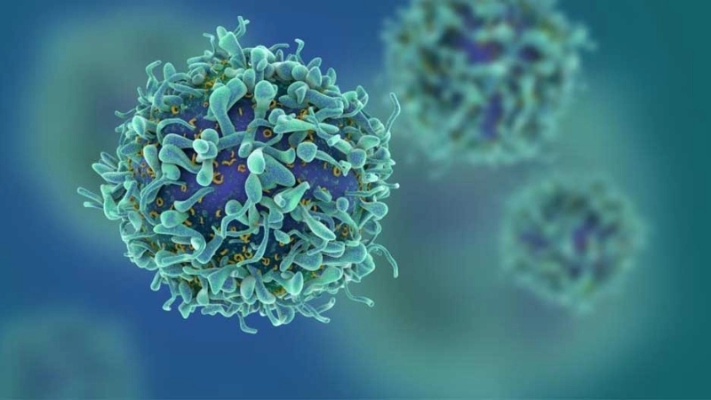 Human T-lymphotropic Virus infection tropical spastic paraparesis