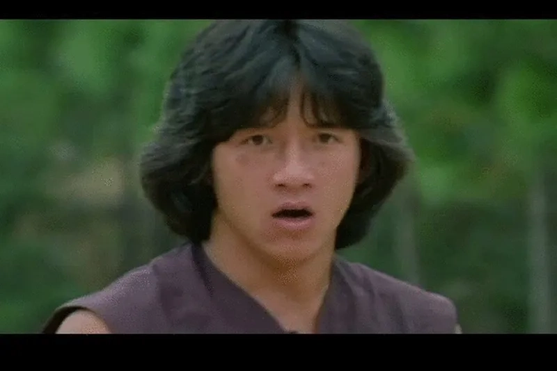The classic 'why' Jackie Chan meme in action