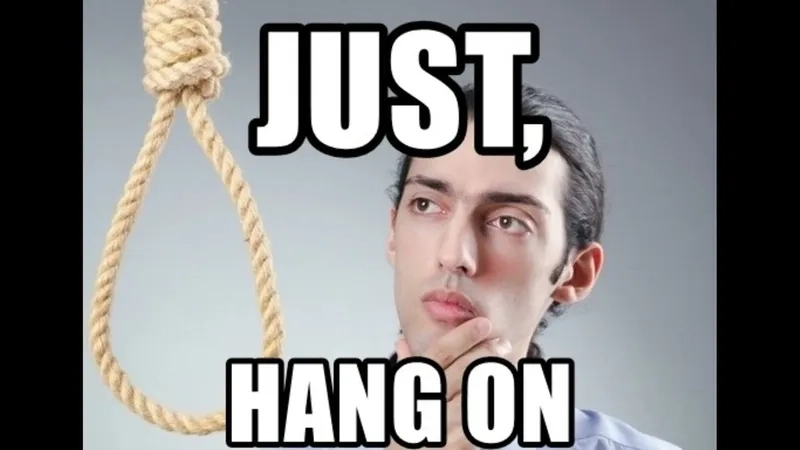 The ultimate chill sloth just hanging around meme