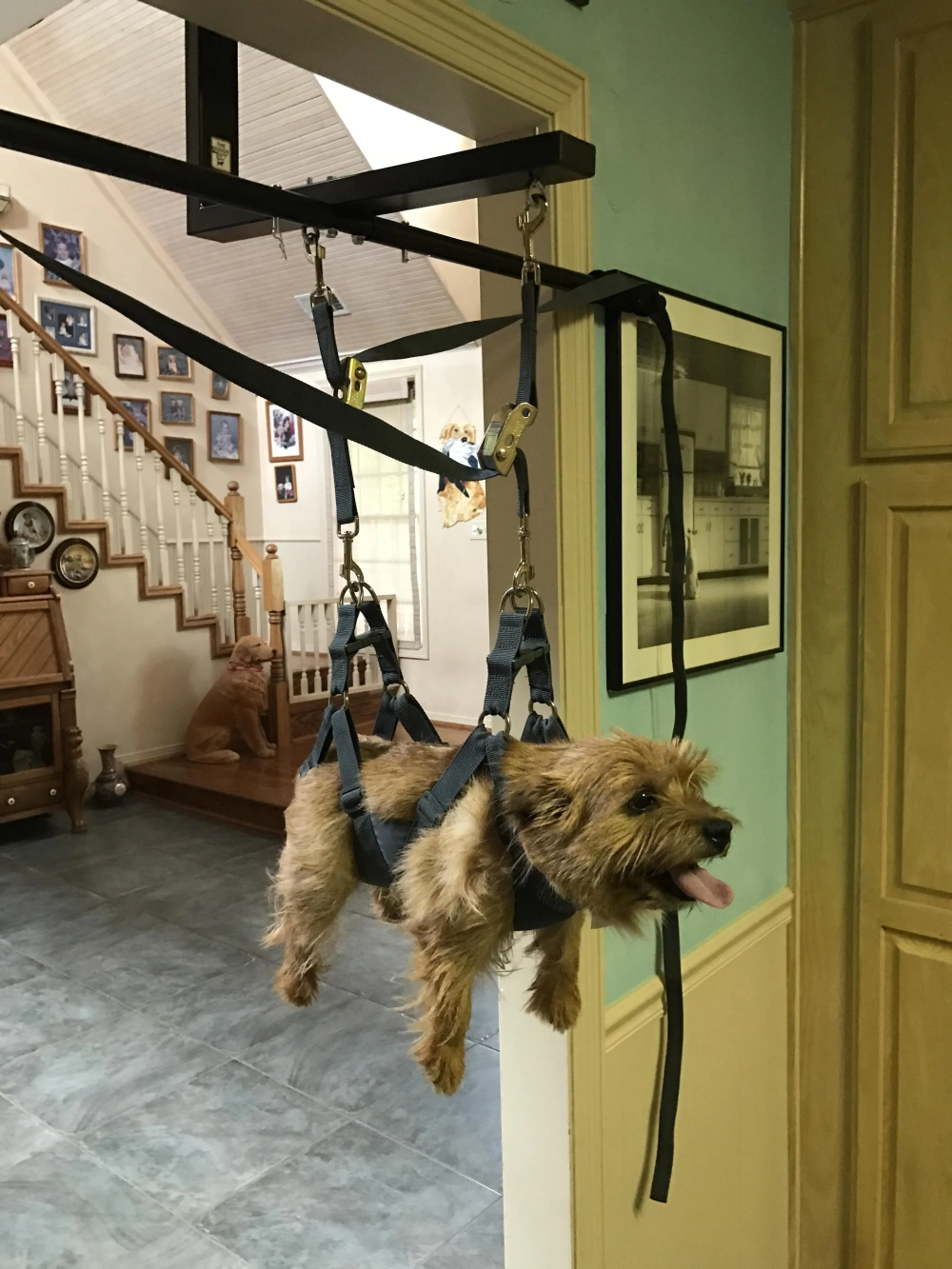 The patient skeleton just hanging around meme