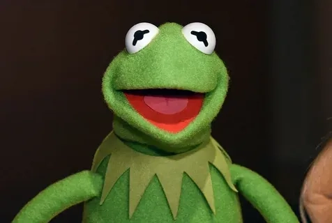 The chaotic energy of the kermit driving meme