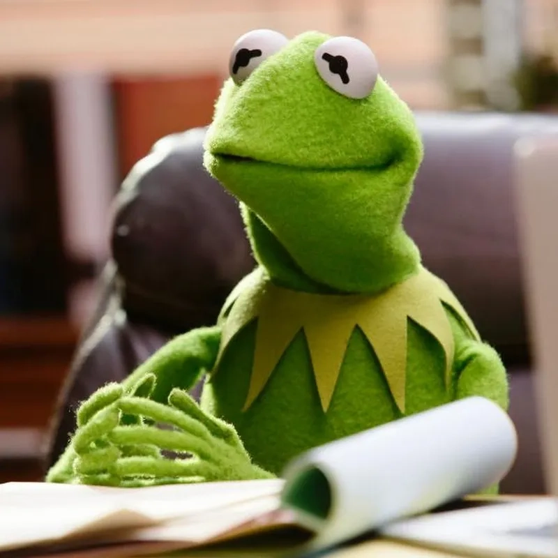 The hilarious kermit driving meme in action