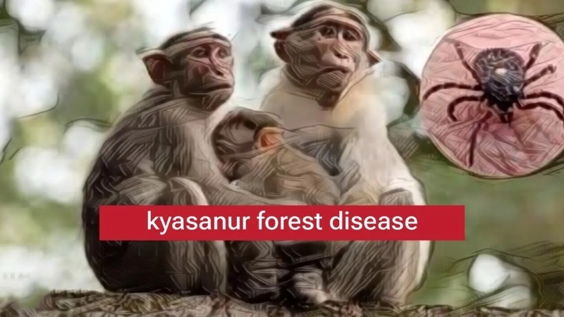 KFD symptoms include fever headache and fatigue