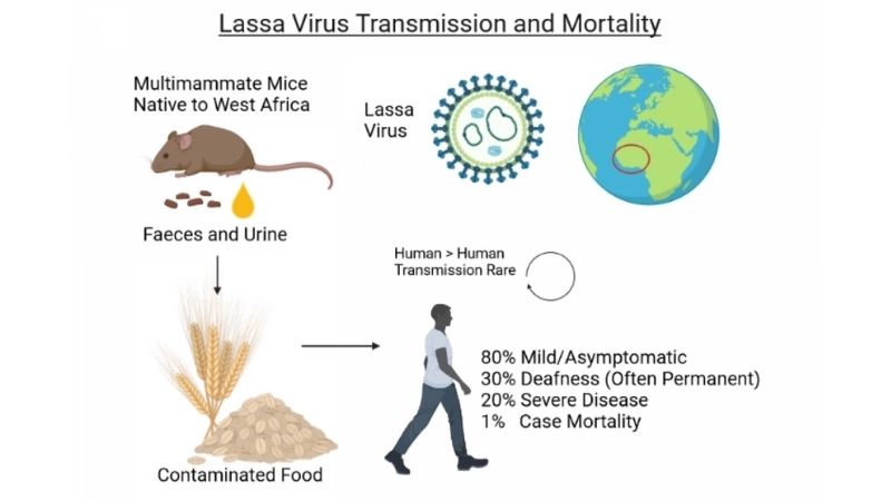 A map highlighting a recent Lassa fever outbreak