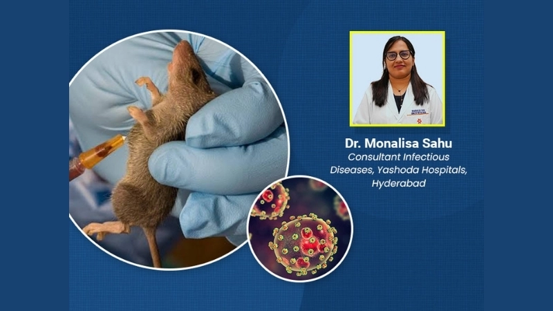 A guide on the effective prevention of Lassa fever