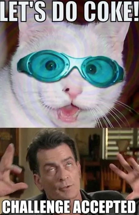 Sharing a let me in meme on twitter