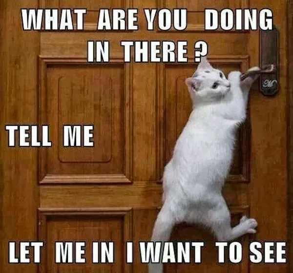 A blank let me in meme template