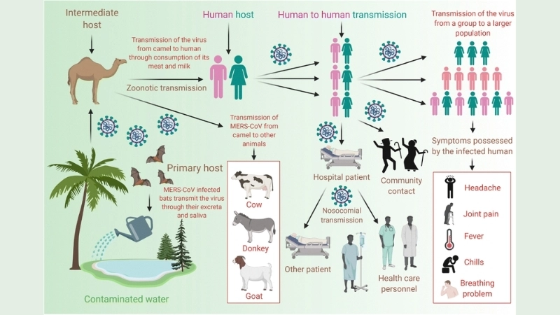 Find effective MERS treatment options today