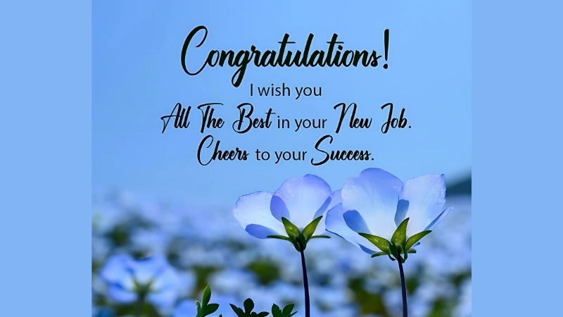 New job wishes to inspire success and happiness in career