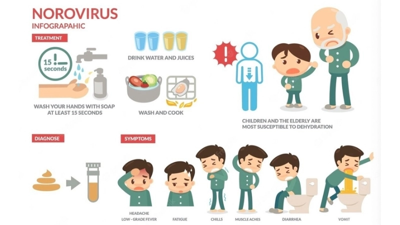 Effective norovirus treatment for Norovirus Infection