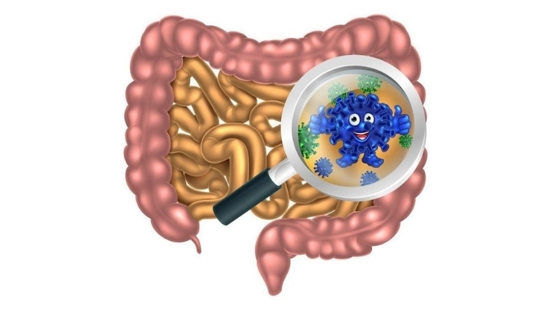 Norovirus Infection often called stomach flu illness