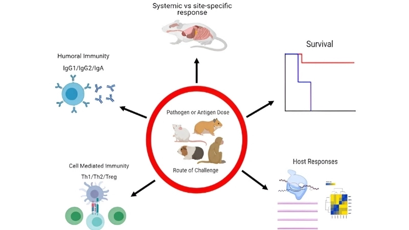 Explore the natural Omsk Hemorrhagic Fever reservoir sources today