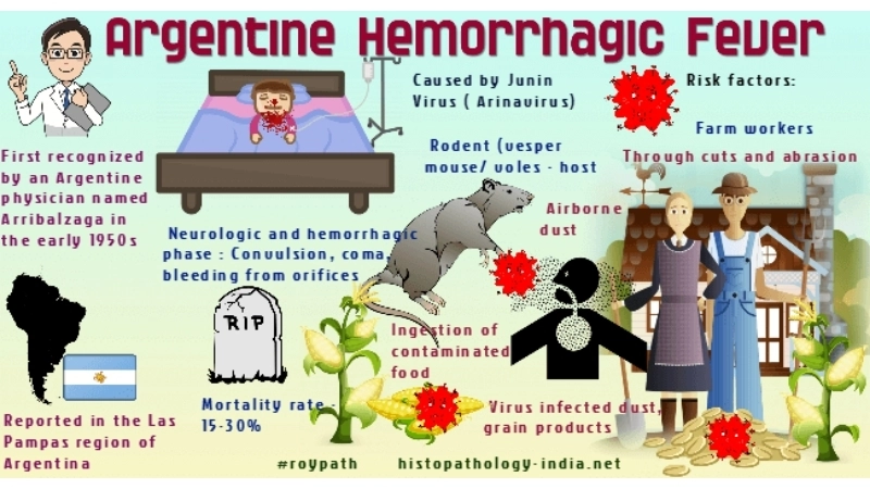 Find updates on the Omsk Hemorrhagic Fever vaccine availability