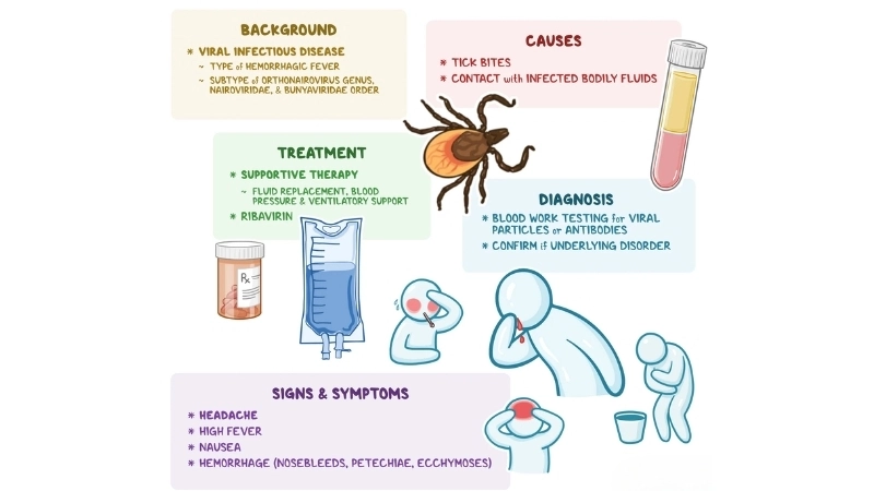 Guide to accurate Omsk Hemorrhagic Fever diagnosis methods now