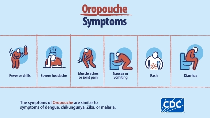 Oropouche Fever tips for Oropouche fever prevention