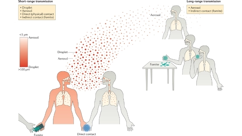 Learn common parainfluenza symptoms in all ages