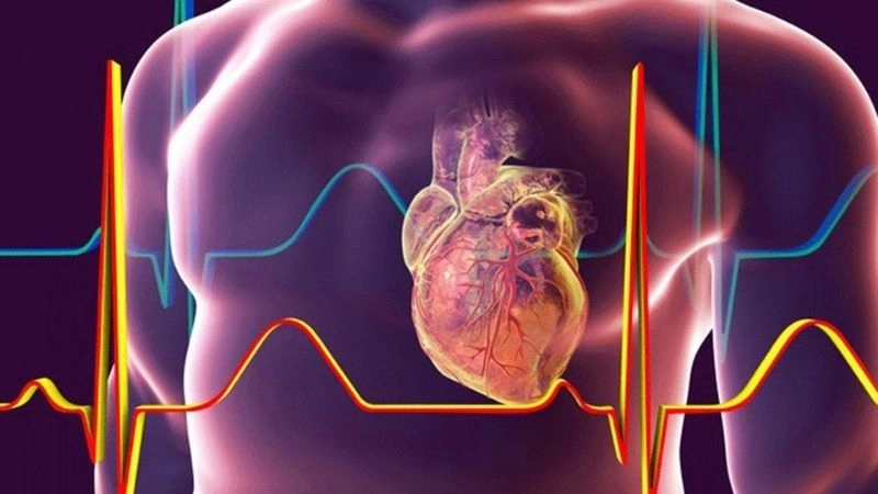 PSVT diet supports heart health and prevents triggering episodes