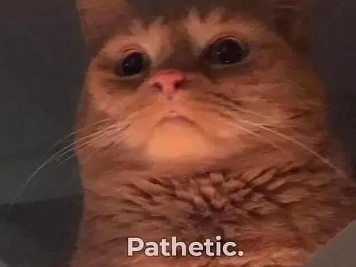 A popular pathetic anime meme from a hit show