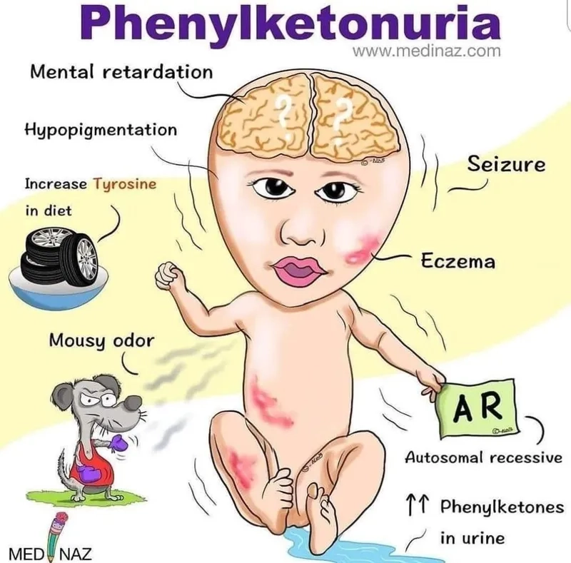 An infographic explaining what is PKU