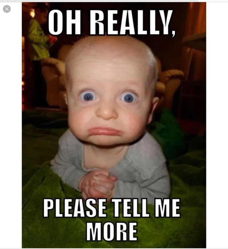 The iconic puss in boots please meme is impossible to say no to