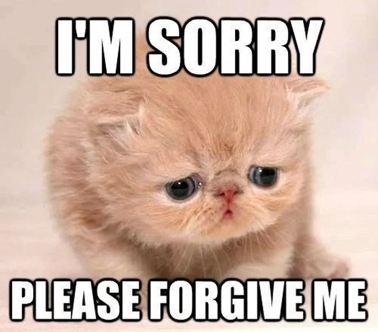 Michael Scott's no god please no meme