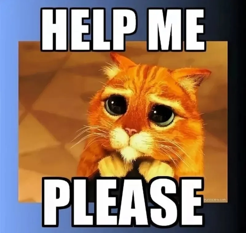 A cute anime girl please meme