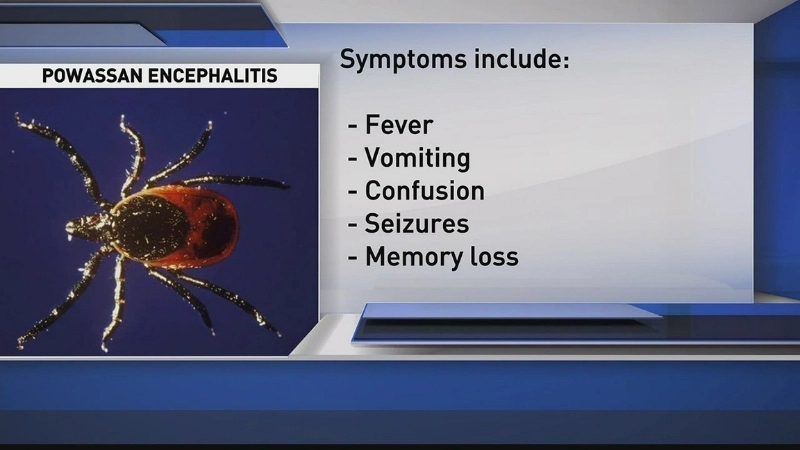 Tips for Powassan virus prevention protect yourself now