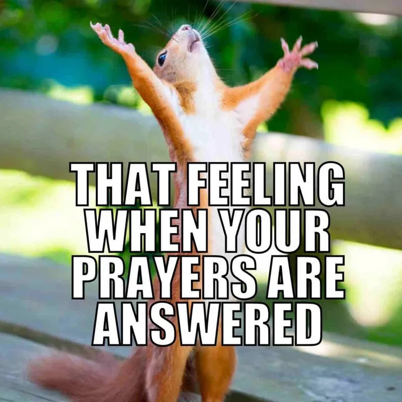 A relatable please god meme for exams