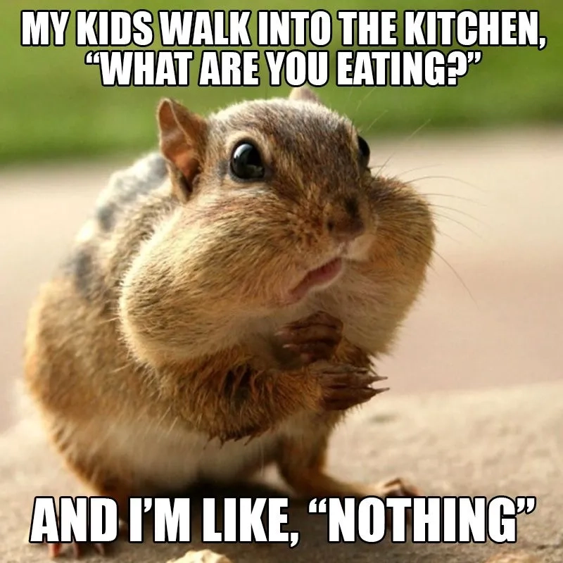 A funny praying mantis meme in nature