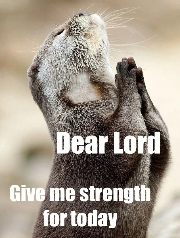 The classic praying hands emoji meme for texts